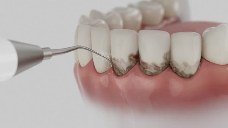 Reliable Dental contractor in Foster Brook, PA by Dentist Open Now